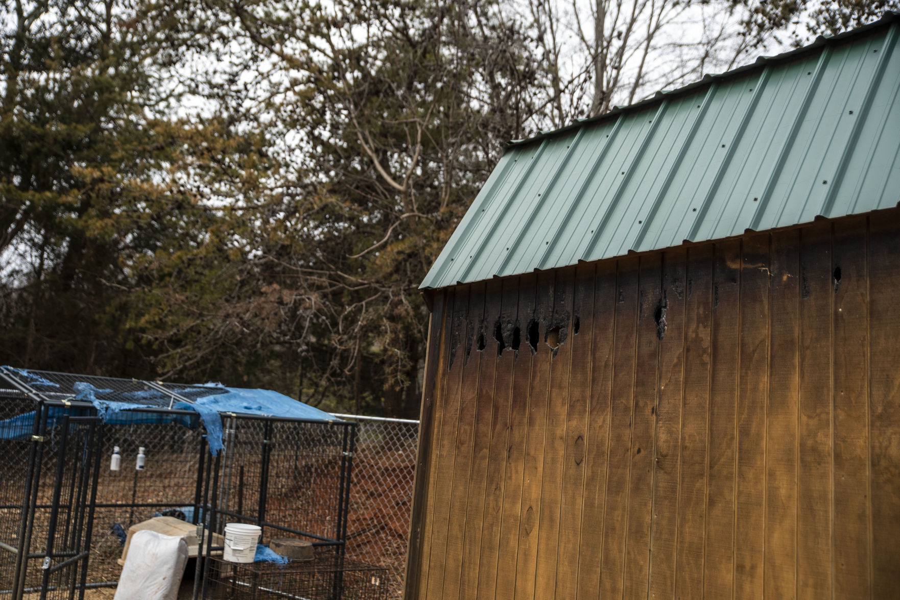 Animal Sanctuary